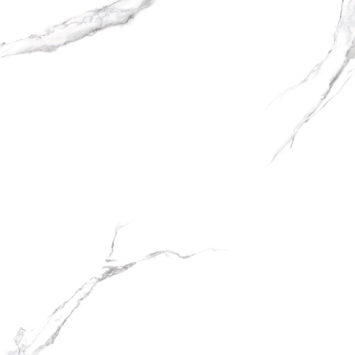 Statuario 120x120 cm - Full Lap